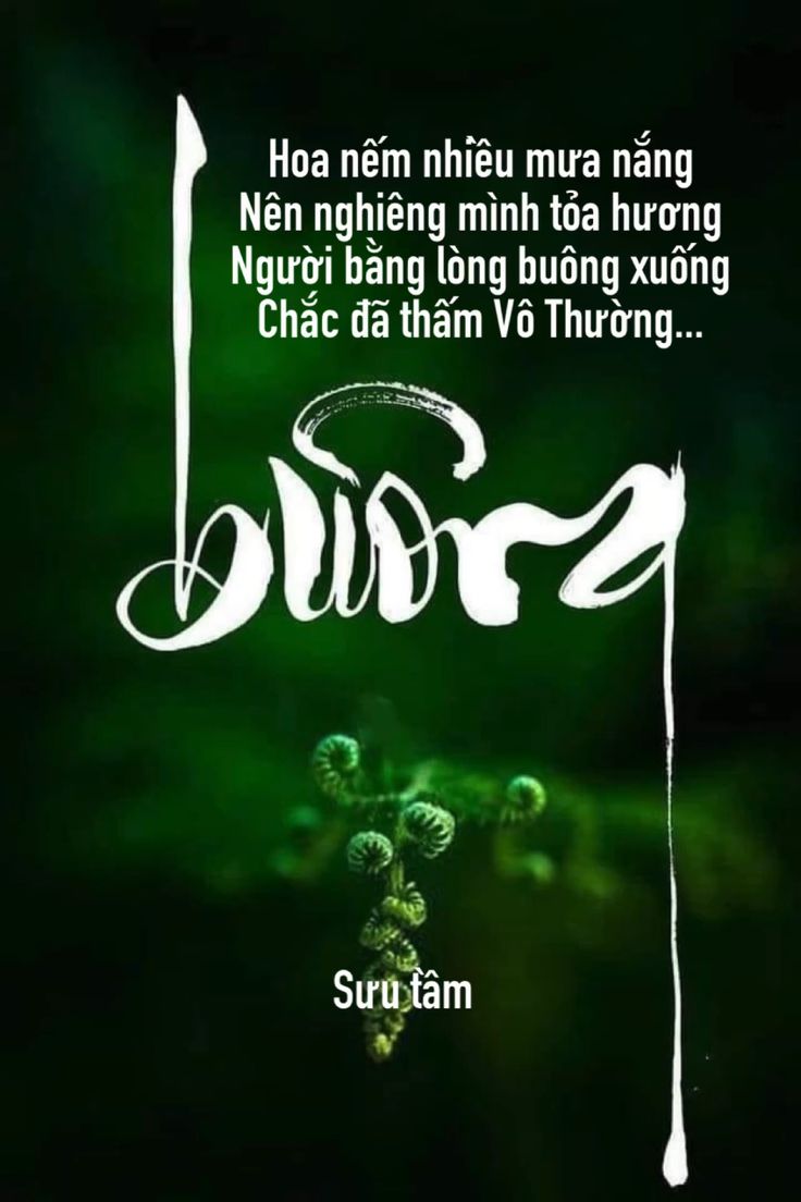 Van khóa 20mm AT25-AV-V20 - Ảnh 2