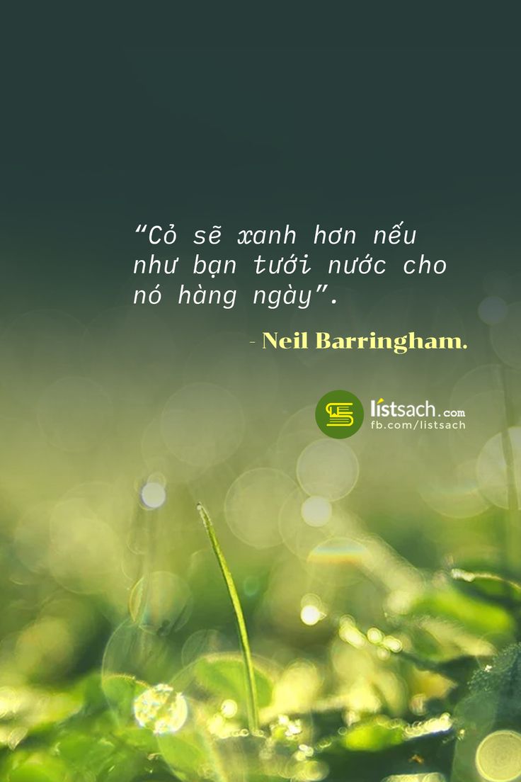 Béc bọ phun tưới gốc 180 độ màu xanh cao cấp VAN4180 - VAN4180 - Ảnh 2