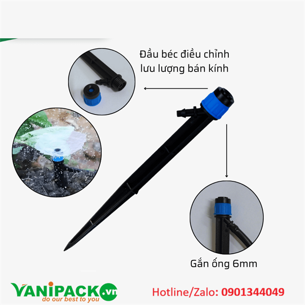 Cây cắm xòe xanh AT25-AG-CCXX