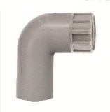 Co 21 ly ren trong 21 ly PVC CO21-RT21