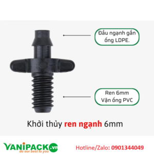 Khởi thuỷ 6mm ren ngạnh AT25-APS-KT6RN