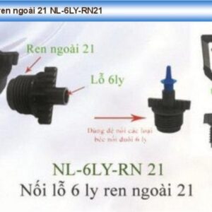 Nối lỗ 6 ly trơn trong ren ngoài 21 BB NL-6LY-RN21
