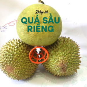 Rọ nhựa chèn để bảo vệ trái sầu riêng - loại LỚN