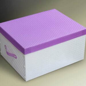 Hộp lưu trữ lớn