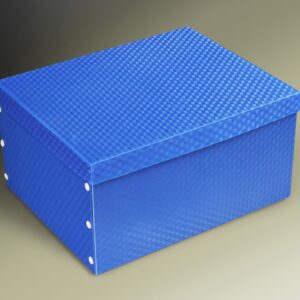 Hộp lưu trữ trung