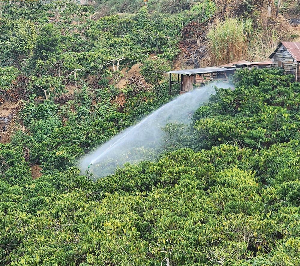 Súng tưới cây Sky 41 Pro - Ảnh 2